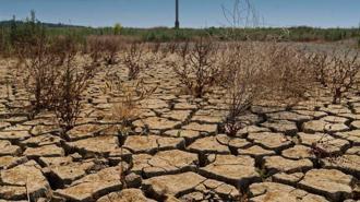 'Doğru yönetemezsek kullanabilecek suyumuz kalmayacak'