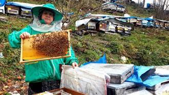Genç yaşta babasını kaybedince ömrünü kardeşlerine adadı; arıcılık yapıp hepsini okuttu