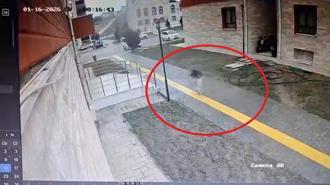 Karne almaya giderken sokak köpekleri peşine takılınca apartmana sığındı