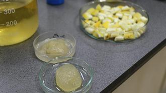 Ağaç kavunu kabuğundan 'süper emici hidrojel' geliştirdiler