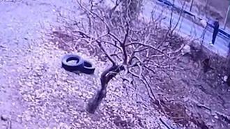 Kendisine doğru koşan köpeği tüfekle vurup öldürdü