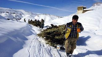 Hakkari’de besiciler karda kızakla hayvanlarına ot taşıyor