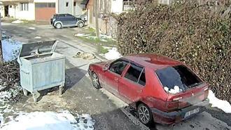 Üzerinden otomobil geçen köpek yürümeye başladı