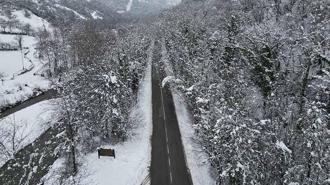 'Ağaç tünel yol'da, kar yağışı sonrası ortaya çıkan manzara görüntülendi