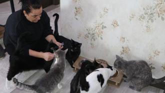 Korkusunu yendi, evini sokak kedilerine yuvaya dönüştürdü