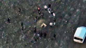 Jandarma köpek dövüşünü dronla tespit etti; 14 gözaltı