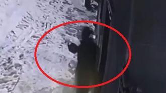 Mahalleye inen kurtları, elinde çaydanlıkla koşarak uzaklaştırdı