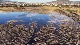 Yağışlarla birlikte suyla dolan Milleyha Kuş Cenneti dron ile görüntülendi