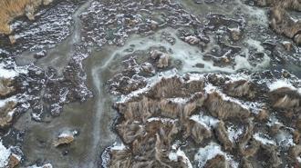 Sultan Sazlığı Milli Parkı'ndaki sulak alanlar buz tuttu