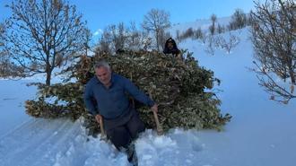 Bitlis'te besiciler, karda kızakla hayvanlarına ot taşıyor