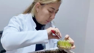 Eksi 21 derece kışa dayanıklı tohum çeşitleri geliştiriyorlar