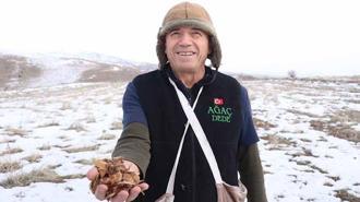 Kayseri’nin ‘Ağaç Dede’si 1 milyondan fazla fidanı toprakla buluşturdu