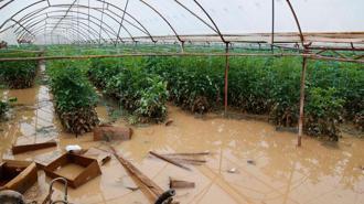 Geçen haftaki yağış ve hortumun Antalya'ya faturası 300 milyon TL