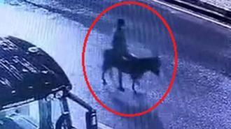 Forkliftle kuyumcu soyup eşekle kaçan şüpheli yakalandı; o anlar kamerada