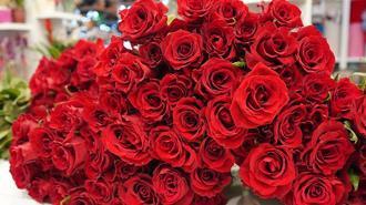 Sevgililer için gül 200, orkide 2 bin liradan başlıyor