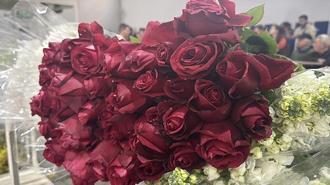 Yalova'da çiçek mezadında '14 Şubat' yoğunluğu