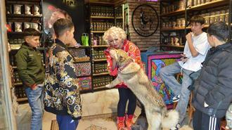 Tahliye edilen 'Mardinli Marilyn Monroe’: 100 bin liram olsaydı cezaevine girmeyecektim