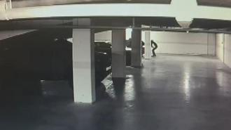 Bakırköy'de 30 milyon dolarlık hırsızlık iddiası: 7 gözaltı