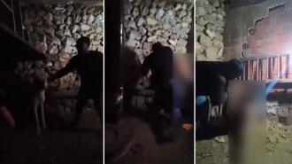 Mardin’de çocuğa ahırda şiddet kamerada; şüpheli serbest