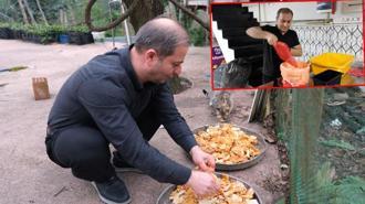 Babadan kalan 'anlamlı miras'; lokantada artan yiyecekleri sokak kedilerine götürüyor