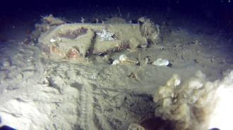 THY'nin 51 yıl önce düşen uçağının enkazından yeni parçalar bulundu