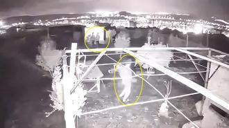 Osmaniye’de güvercin hırsızlığı kamerada