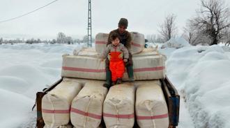 Evlenip Tunceli’ye yerleşti, köy hayatına 2 yaşındaki oğlu Güneş'i de alıştırıyor