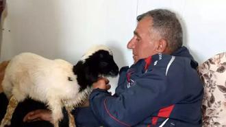 Annesi ölen 20 günlük kuzuyu evinde biberonla besliyor