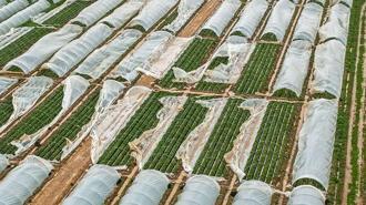 Antalya'da fırtına, hortum ve sel felaketinin faturası 3 milyar TL