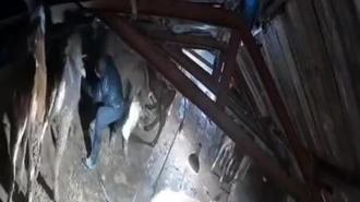 Karın çatısını çökerttiği ahırdaki hayvanları birer birer kurtardılar