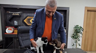 Başkanın makamı Mia ve Fındık’ın yuvası oldu