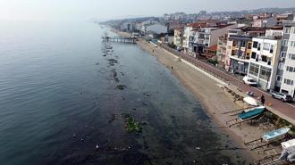 Tekirdağ'da deniz 7 metre çekildi; 'Kral Yolu' ortaya çıktı