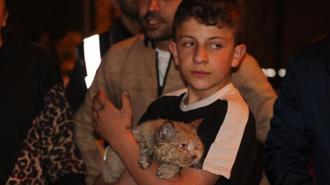 Yangında dairede mahsur kalan kedi 'Duman'ı itfaiye kurtardı