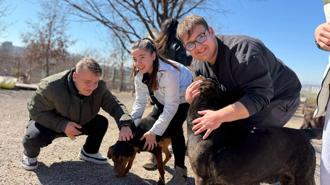 İşitme engelli öğrencilerden, engelli köpekler için kampanya
