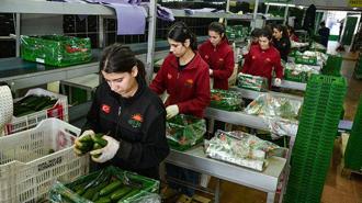 İran savaşı sonrası Türkiye'den Rusya'ya sebze ihracatı arttı