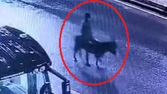 Kuyumcu dükkanından ziynet eşyası çalıp, eşekle kaçan sanığa 16 yıla kadar hapis istemi