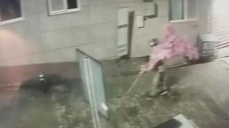 Camı açamayan hırsız, kapıdaki değerli süs ağacını söktü; o anlar kamerada