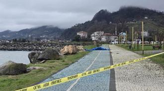 Ordu'da sahile insansız araç olduğu değerlendirilen cihaz vurdu