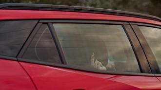 Güller ve Günahlar’da sessiz bir çığlık