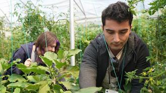 Psikiyatri hastaları hem tedavi görüyor hem para kazanıyor