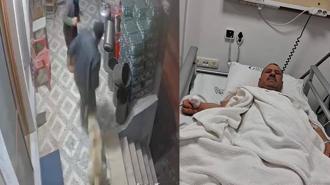 Köpek saldırısında parmağı koptu; o anlar kamerada