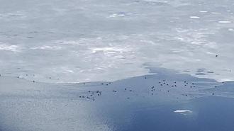 Çıldır Gölü'nde çözülme başladı