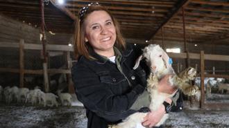 Devlet desteğiyle kurduğu çiftlikte 6 yılda 1300 Ankara keçisine ulaştı