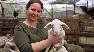 Babasının hediye ettiği kuzuyla çiftlik kurdu