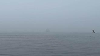 İstanbul'da sis etkili oluyor; gemi trafiği askıya alındı