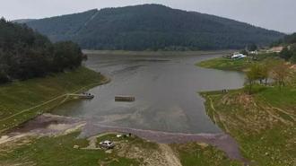 Koyunların otladığı baraj tekrar doldu