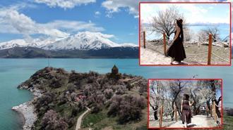 Badem ağaçlarının çiçekleriyle güzelleşen Akdamar Adası'nda turist yoğunluğu