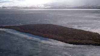 Çıldır Gölü, kuş cennetine döndü