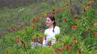 Muş'un zirveleri ters lalelerle renklendi