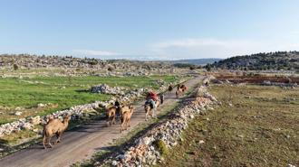 Yörüklerin yayla göçü başladı